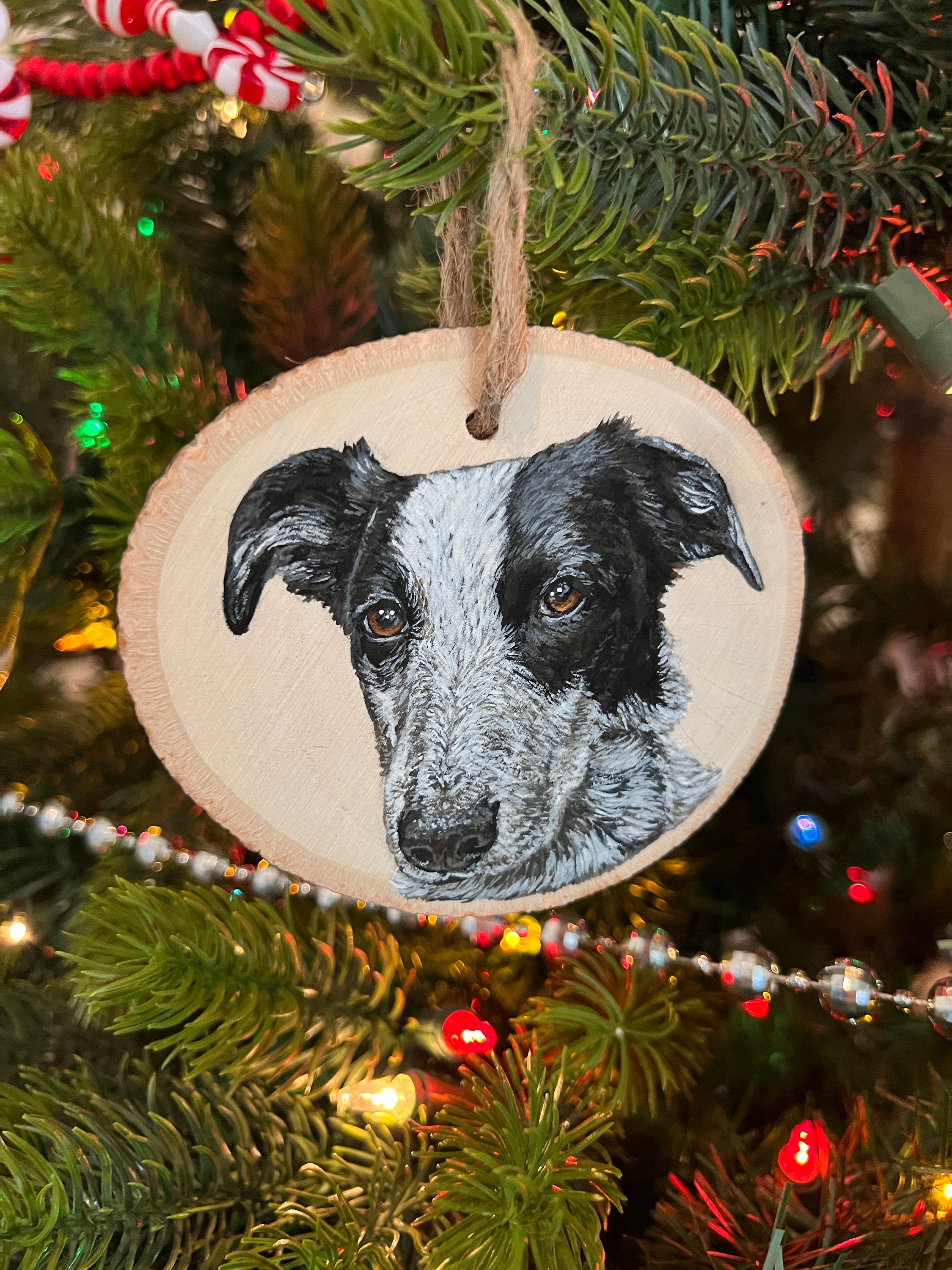 BANBERRY DESIGNS Pet Memorial Photo Christmas Ornament