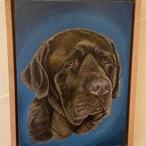 Puede incluir: Una pintura de un perro Labrador Retriever marrón sobre un fondo azul. El perro mira hacia la izquierda del marco con una expresión seria. La pintura está enmarcada en un marco de madera claro.
