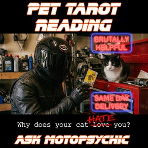 May include: A person in a black motorcycle helmet and leather jacket holds a tarot card near a black and white cat sitting on a red metal tool chest. Text reads PET TAROT READING, BRUTALLY HELPFUL, SAME DAY DELIVERY, and ASK MOTOPSYCHIC.