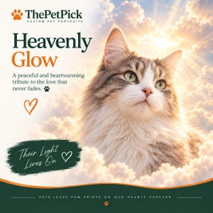May include: A custom pet portrait featuring a fluffy brown and white cat against a bright, cloudy sky. Text includes ThePetPick, Heavenly Glow, A peaceful and heartwarming tribute to the love that never fades, Their Light Lives On, and PETS LEAVE PAW PRINTS ON OUR HEARTS FOREVER.