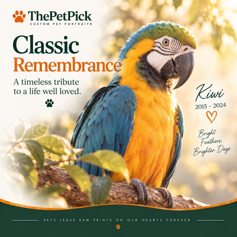 May include: A blue and yellow macaw perched on a branch with text reading ThePetPick Classic Remembrance A timeless tribute to a life well loved Kiwi 2015-2024 Bright Feathers Brighter Days and Pets leave paw prints on our hearts forever.