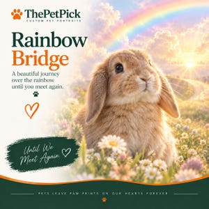 May include: A custom pet portrait featuring a brown lop-eared rabbit in a field of white flowers under a rainbow. Text includes ThePetPick, Rainbow Bridge, A beautiful journey over the rainbow until you meet again, Until We Meet Again, and Pets leave paw prints on our hearts forever.