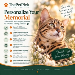 May include: A promotional graphic for custom pet memorial portraits featuring a brown tabby cat in a field of white flowers. The text includes ThePetPick, Personalize Your Memorial, a seven-step process list, and the phrase Some pets leave paw prints on our hearts forever.
