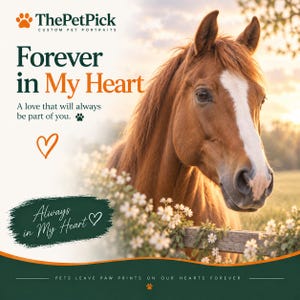 May include: A custom pet portrait advertisement featuring a brown horse with a white blaze on its face. Text reads: ThePetPick, Forever in My Heart, A love that will always be part of you, Always in My Heart, and PETS LEAVE PAW PRINTS ON OUR HEARTS FOREVER.