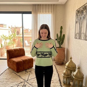 May include: A light green long-sleeve sweater featuring a black crew neckline, black sleeve stripes, and a horizontal black band across the chest decorated with a repeating pattern of stylized black cats and birds in a simple graphic design.