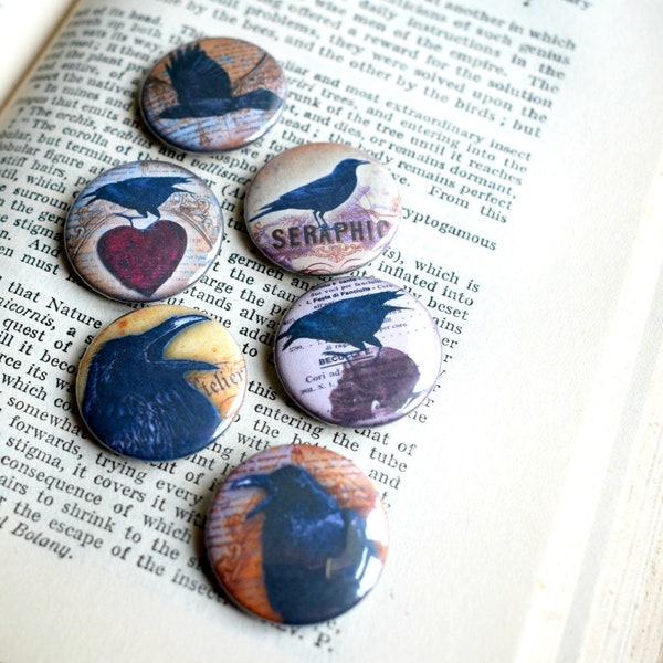 Crow and Raven Badges, Set of 3 or 6 Bird Pin Badges, Crow Gifts, Goth Gifts