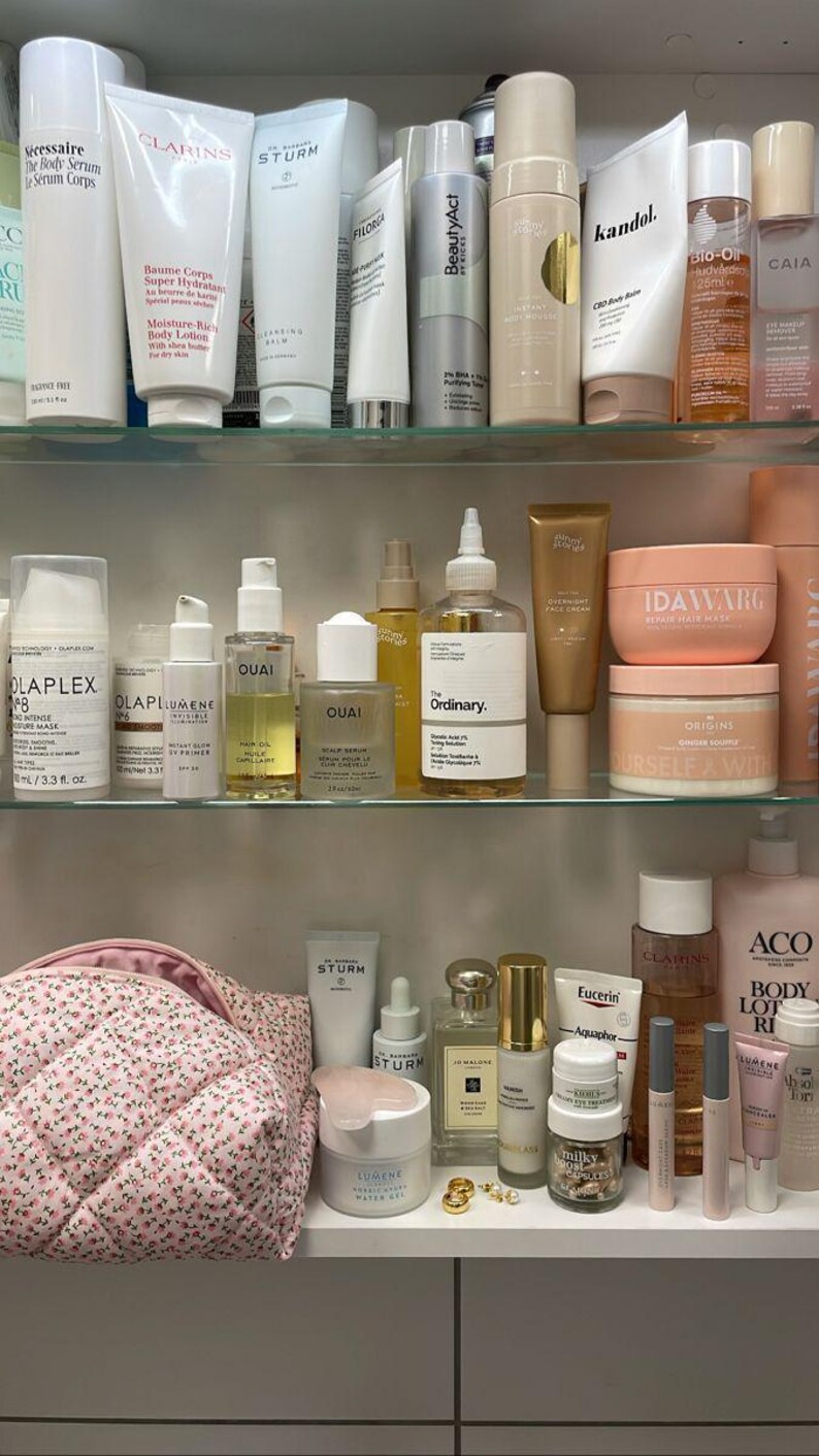 Beauty Inventory Project Pan Tracker | Skincare Expiration Log (PDF ...