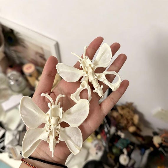 Macabre Handmade Bone Butterfly, Real Animal Bone Craft, Gothic Curio Cabinet Display, Unique Dark Art Home Decor