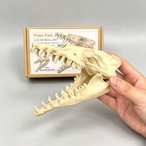 May include: A cream-colored 3D printed skull model of a prehistoric creature with sharp teeth, held in front of a cardboard box labeled Paleo Park 1/10 3D SKULL KIT. The packaging features a printed illustration of the skull and text in English and Japanese.