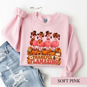 May include: A light pink crewneck sweatshirt featuring a graphic of four pink flamingos wearing pilgrim hats and autumn accessories. The flamingos stand among pumpkins and fall leaves above a wooden sign that reads THANKFUL & FLAMAZING.