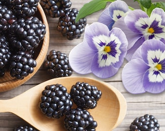 Blackberry Fragrance Oil