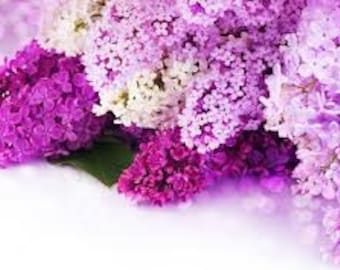 Lilac Perfume Oil