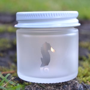 Glass Jar, Sand Etch Glass Jar, Mini Jar, Mini Glass Jar, Tiny Jar, Sea Horse Small Jar, Stash Jar, Spice Jar, Frosted Glass Jar, Mini Jar
