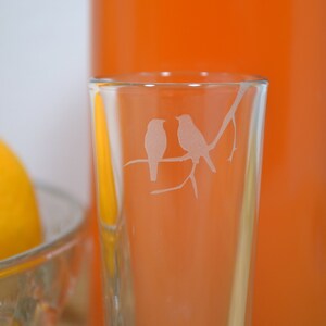 Shot Glass, Birds Shot Glass, Sand Etched Shot Glass, Bird Party Favor, Frosted Glass, Etched Glass, Bird Glass, Shooter Glass