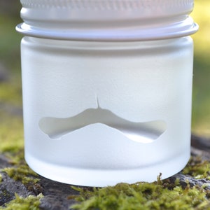 Glass Jar, Sand Etched Glass Jar, Mini Jar, Mini Glass Jar, Stash Jar, Spice Jar, Frosted Glass Jar, Maple Tree Jar, Maple Seed, Tiny Jars