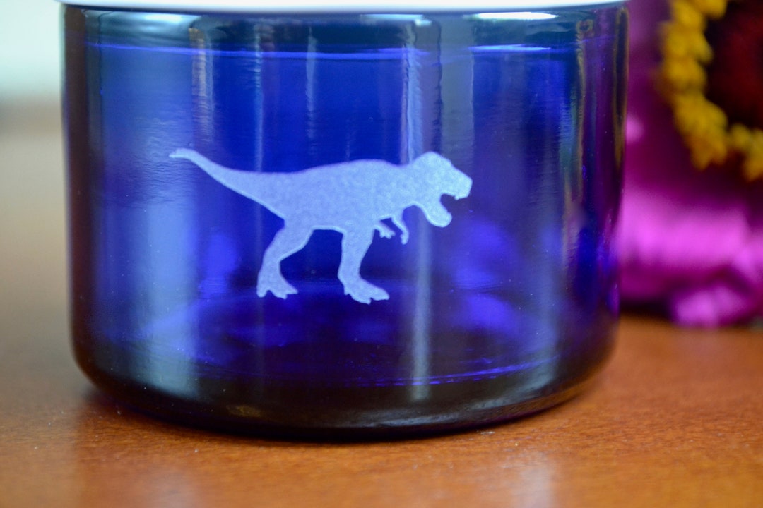 Glass Jar Small Glass Jar Stash Jar Sand Etch Jar Dinosaur Etsy