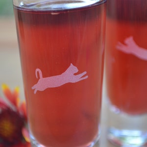Shot Glasses, Kitty Cat Shot Glasses, Custom Shot Glasses, Cat Shot Glasses, Sand Etched Shot Glasses, Cat Party Favor, Etched Glass