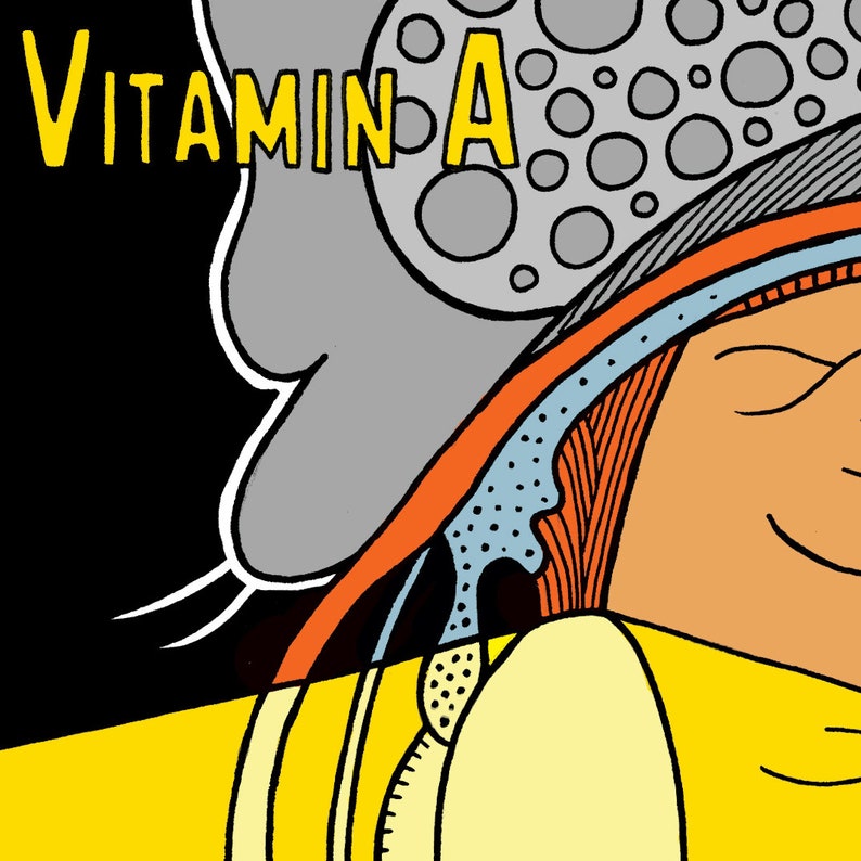 Vitamin A Giclee Print image 3