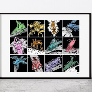 Op de afbeelding: Een zwart-witte illustratie van 12 verschillende insecten op een zwarte achtergrond. De insecten zijn getekend in een cartoon-stijl en zijn gelabeld met hun namen. De insecten omvatten een groene boomcricket, een kraanvlieg, een gele jas, een blauwe bij, een hertenkever, een mug, een groene flesvlieg, een rode mier, een libel, een cricket, een sprinkhaan en een bidsprinkhaan.
