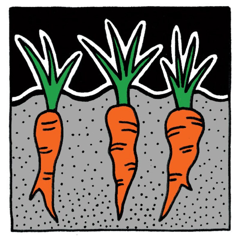 Vitamin A Giclee Print image 2