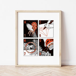 Puede incluir: Una ilustración en blanco y negro de una tira cómica de cuatro viñetas. Las viñetas representan una medusa roja y naranja, un diamante rojo y naranja, una tortuga y un casco rojo y naranja. Las viñetas están etiquetadas con las letras H, C, N y O, y los números 1, 6, 7 y 8.