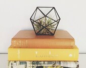 Small geometric glass terrarium // handmade with recycled glass // modern air plant holder - succulents - home decor