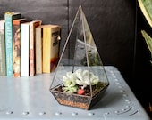 Obelisk Terrarium // handmade with recycled glass // geometric planter for cacti - succulents - crystals