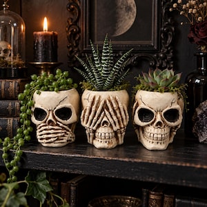May include: Three off-white skull-shaped planters arranged in a row. The left skull has hands covering its mouth, the centre skull has hands covering its eyes, and the right skull has an open face. Each contains a different green succulent plant.
