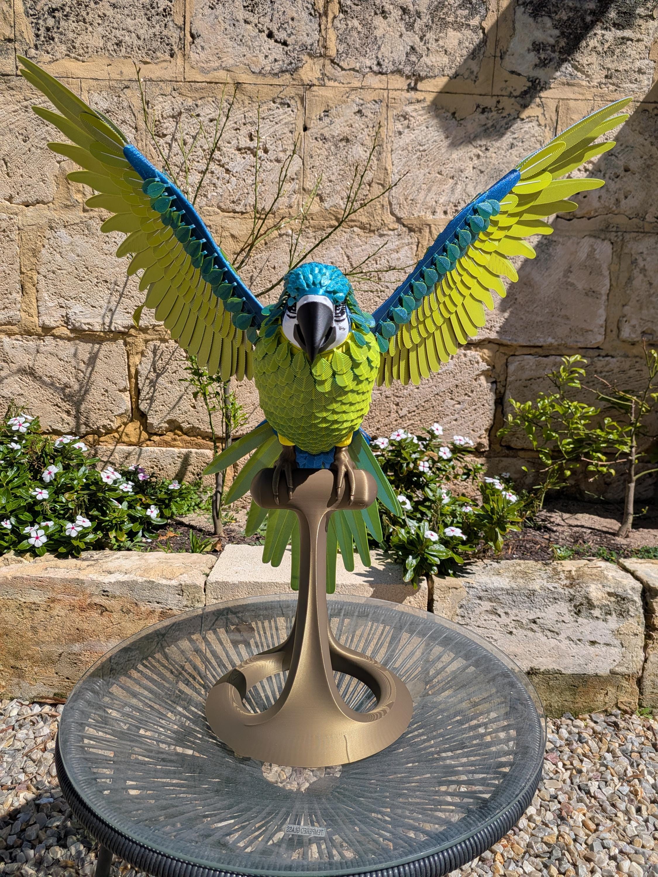 Life Size Parrot - Etsy