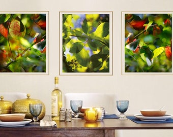 Green leaves print set of 3 piece wall art Botanical Abstract art nature photography Triptych 16x20 24x30