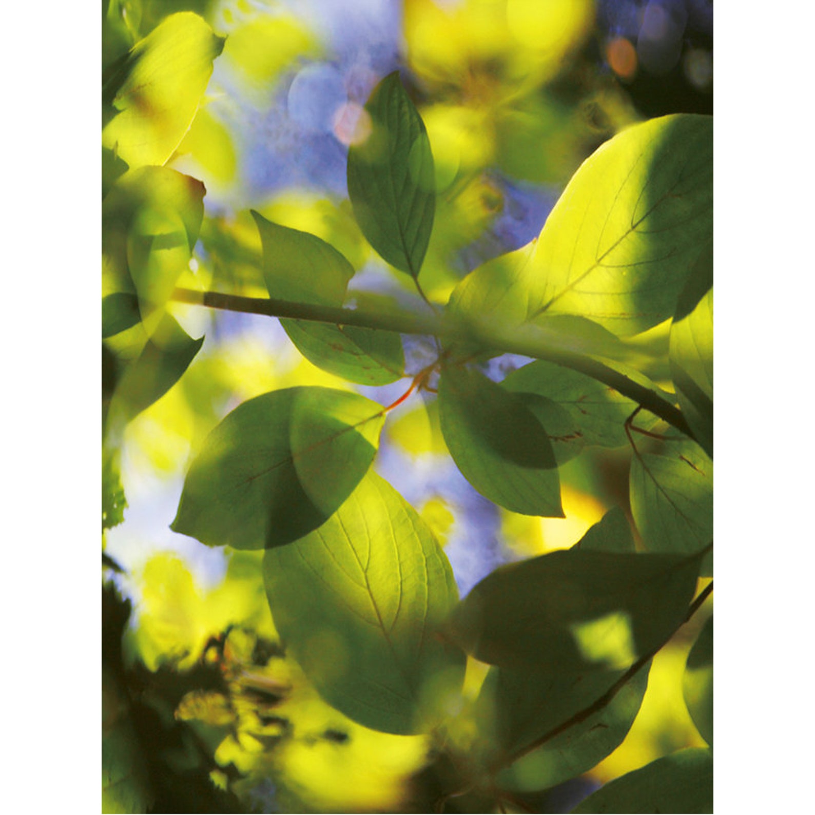 Green leaves prints Botanical set of 3 piece wall art Etsy