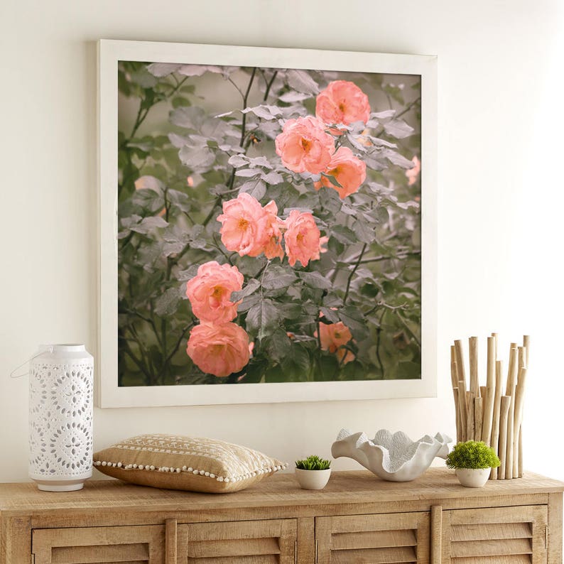 Floral wall art Roses photography Square Flowers print Peach Etsy