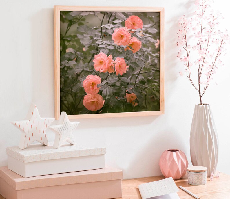 Floral wall art Roses photography Square Flowers print Peach Etsy