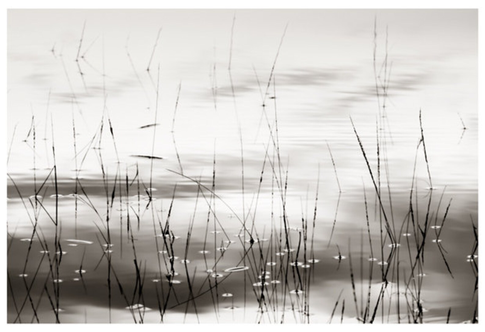 Zen art Minimalist Nature photography Abstract Black and