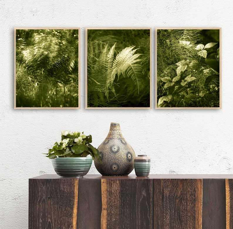 3 Piece Wall Art Set Green Fern Prints Botanical Photography Nature Vertical Triptych 16x20