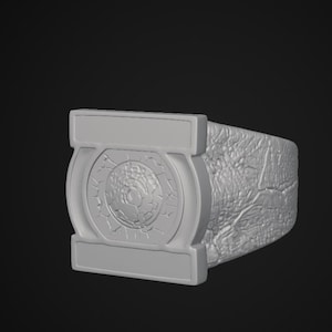 Puede incluir: Un anillo gris claro que presenta una cara rectangular prominente con un emblema circular en el centro. El emblema muestra un patrón texturizado y agrietado dentro de un borde circular. La banda del anillo tiene una textura rugosa y desgastada.