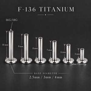 May include: Six silver-colored titanium flat back labret posts in varying lengths from 5 mm to 10 mm. The text F-136 TITANIUM is at the top, with 16G/18G and base diameter 2.5 mm, 3 mm, 4 mm labels indicating the gauge and base sizes.