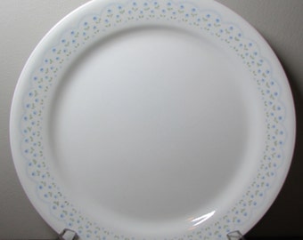 Corning Corelle 10" Dinner Plate - Blue Green Garden Row Pattern - Light-weight Vitrock - USA Made - Kitchen Must Have - Home Decor