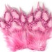 see more listings in the Gloved Paws section