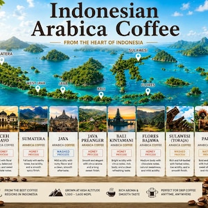 Äkta indonesiskt Arabica-kaffe, påse och kapselförpackning (1 låda innehållande 10 stycken)