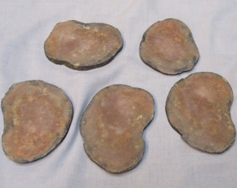 5 matched slabs slices Fairburn Prairie Agate 1965 stock Kandler Gravel Pit Nebraska unpolished