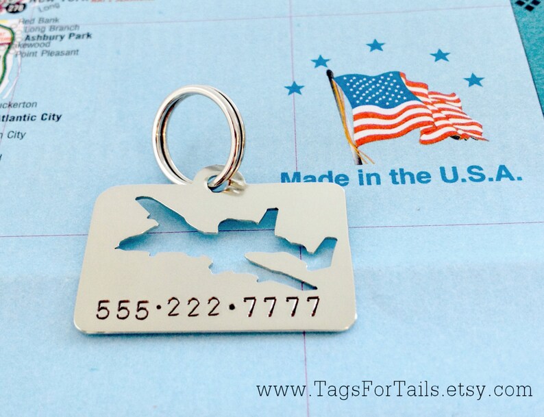 A-10 Warthog Airplane Pet Tag Handmade Custom Pet ID Charm | Etsy