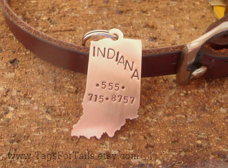 Indiana State Pet ID Tag Choose Any State Cat or Dog Pet Etsy