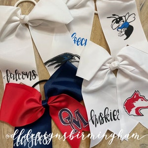 Hand painted cheer bow 8&quot; high school team mascot