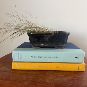 May include: A rectangular black ceramic bonsai pot containing dried grasses, resting on a stack of two hardcover books. The top book is light blue with the title All the Light We Cannot See by Anthony Doerr, and the bottom book is yellow.