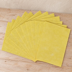 Parchment-Style Paper — Prayers and Petitions — 25 Sheets or 12 Petition Slips