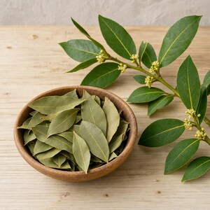 May include: A round wooden bowl filled with dried, light green bay leaves, positioned next to a fresh green bay laurel branch featuring pointed leaves and small clusters of pale yellow flowers, showcasing the contrast between dried and fresh.