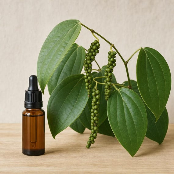 Black Pepper Essential Oil — Protection and Banishing — 15 or 30 mL