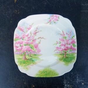UNICORN 6 dessert plate Staffordshire plate Thomas Hughes /& Son LTD Bone China bread Vintage,burgundy,pink roses Set of 3 Antique