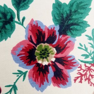 May include: A close-up of a red, pink, and blue flower with a green center. The flower is surrounded by green leaves on a white background.
